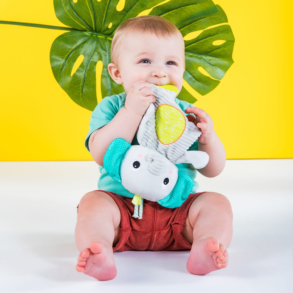 Bright Starts Snuggle & Teethe Plush Teether - Elephant, Unisex, Ages Newborn +