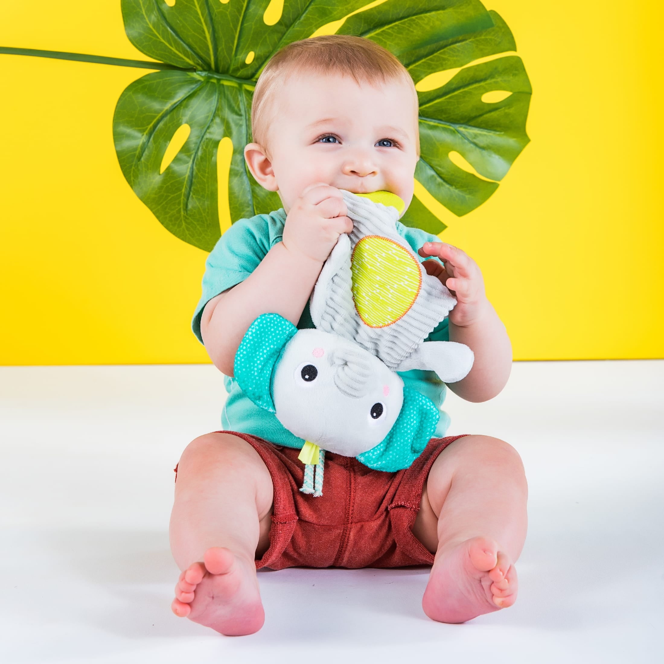 Bright Starts Snuggle & Teethe Plush Teether - Elephant, Unisex, Ages Newborn +