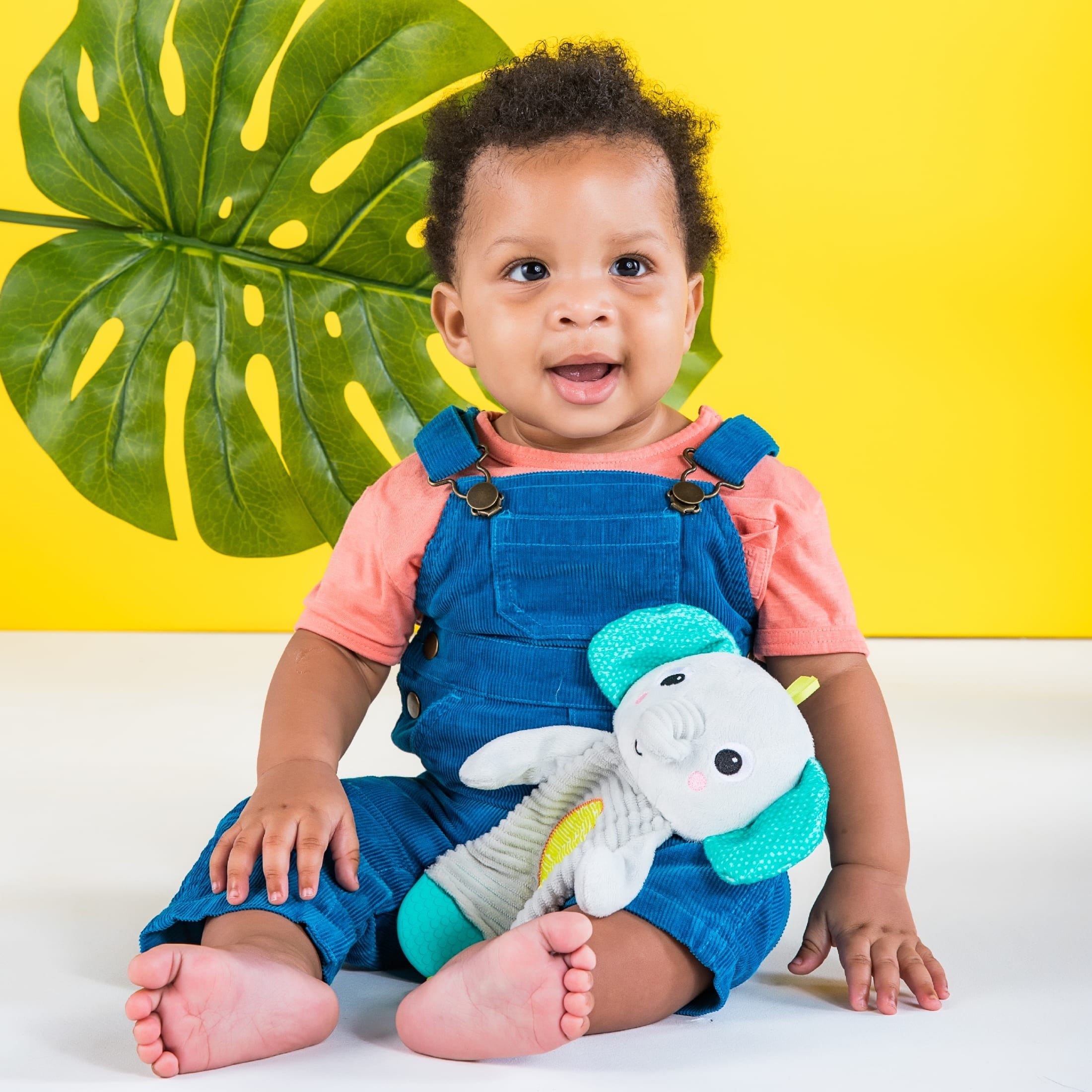 Bright Starts Snuggle & Teethe Plush Teether - Elephant, Unisex, Ages Newborn +